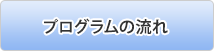 プログラムの流れ